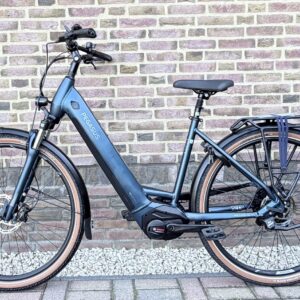 Pegasus Premio Evo 9 / Bosch performance / 2024 / 50 cm. / 625 wh.