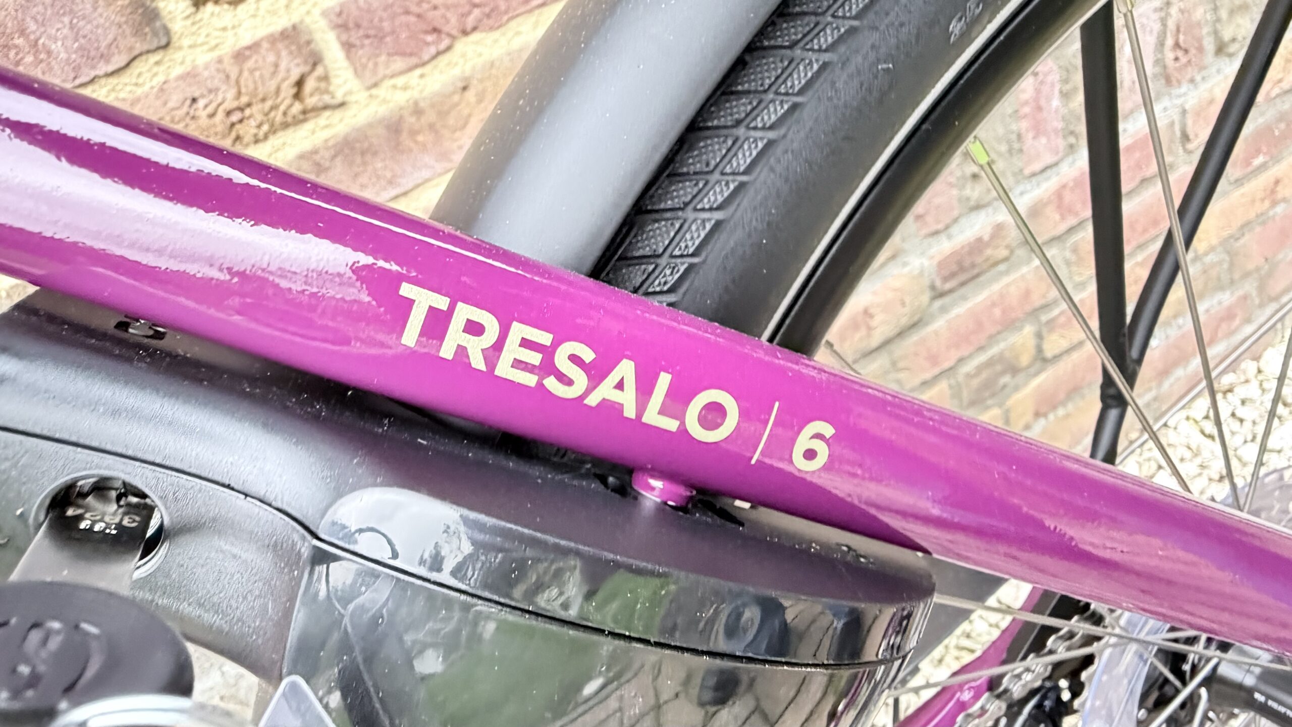 Nieuwe Victoria Tresalo 6 . Bosch performance middenmotor . BES3 - Afbeelding 4